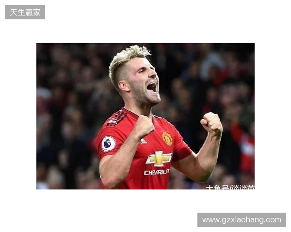 曼联名宿埃尔文:卢克-肖非常适合左中卫,他本赛季太出色了 曼联名宿埃尔文:卢克-肖非常适合左中卫,他本赛季太出色了