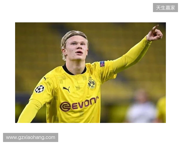 哈兰德曼城首个赛季进52球,卡拉格:这个赛季可能进更多 哈兰德曼城首个赛季进52球,卡拉格:这个赛季可能进更多