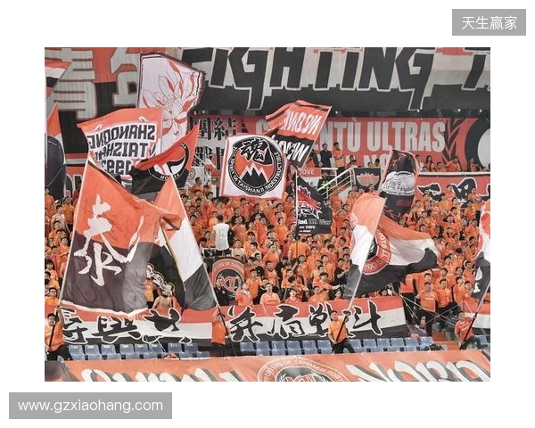 苗原谈泰山引援：账户里有200万水平购买力 但文旅决策尽量少花钱