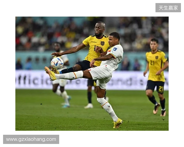 巴尔韦德：卡塔尔世界杯我没拿出最好状态，这届一定会拼到底